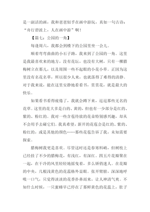 公园的一角作文.docx