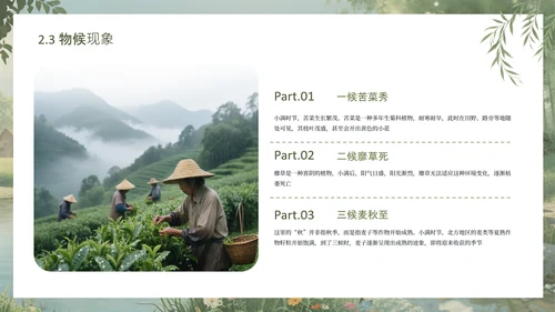 绿色手绘中国传统二十四节气之小满课件PPT模板