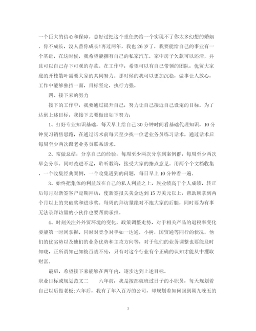 2023年职业目标或规划范文.docx
