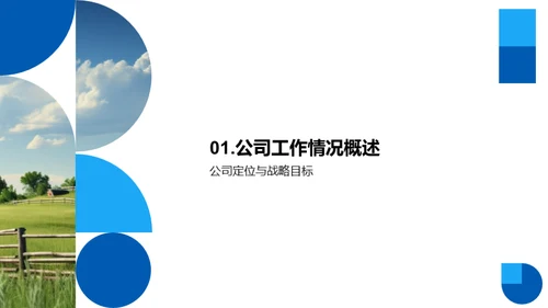 公司年度绩效回顾