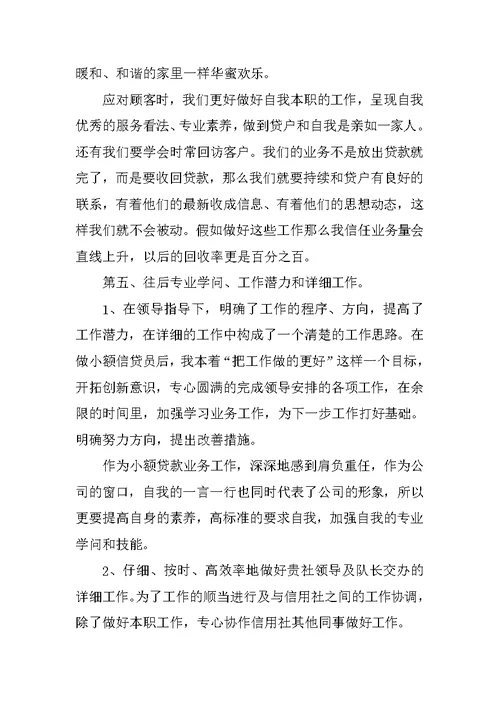 信贷员年终工作总结（10篇）