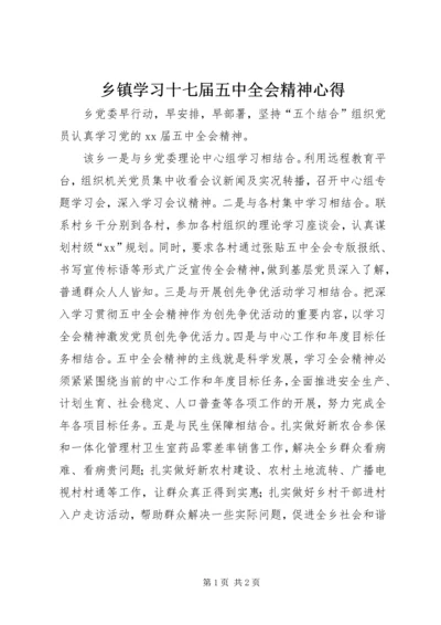 乡镇学习十七届五中全会精神心得.docx