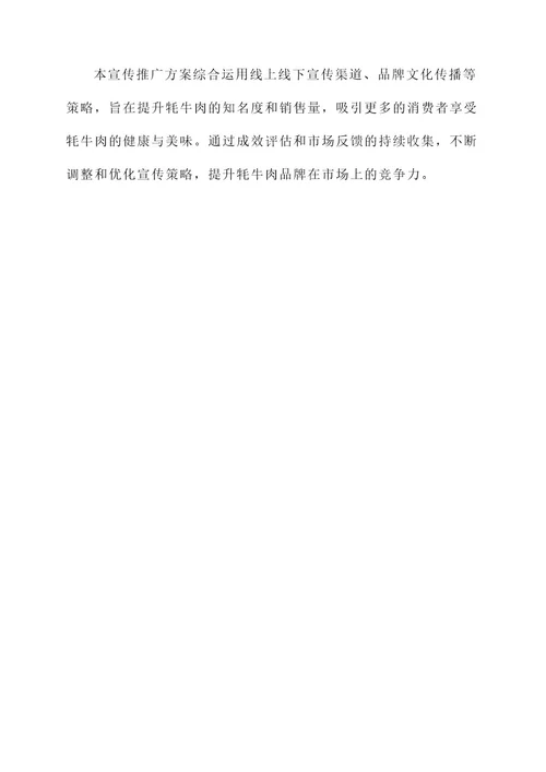 牦牛肉宣传推广方案