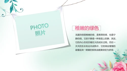寻觅春天春季旅游动态PPT模板