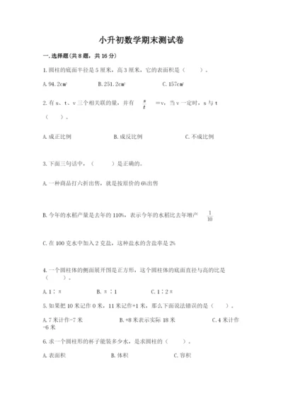 小升初数学期末测试卷及一套完整答案.docx
