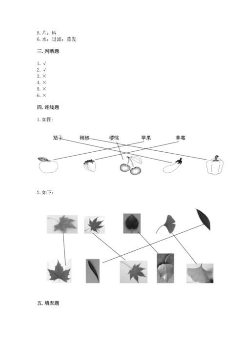 教科版科学一年级上册第一单元《植物》测试卷附参考答案（完整版）.docx