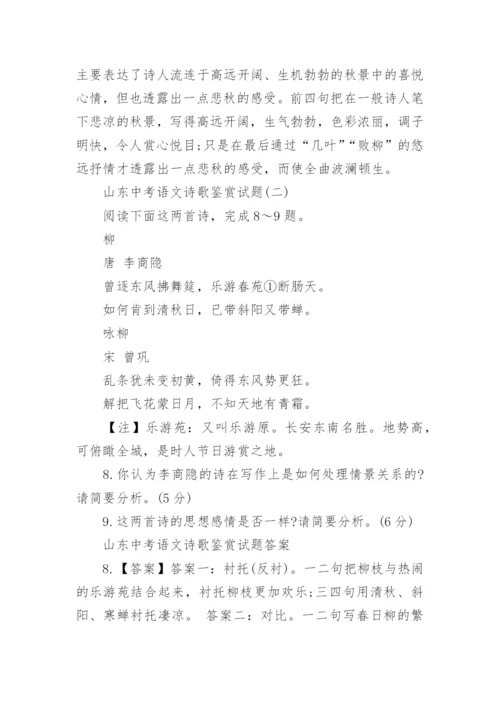 山东中考语文诗歌鉴赏试题含答案.docx