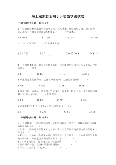 海北藏族自治州小升初数学测试卷及完整答案一套.docx