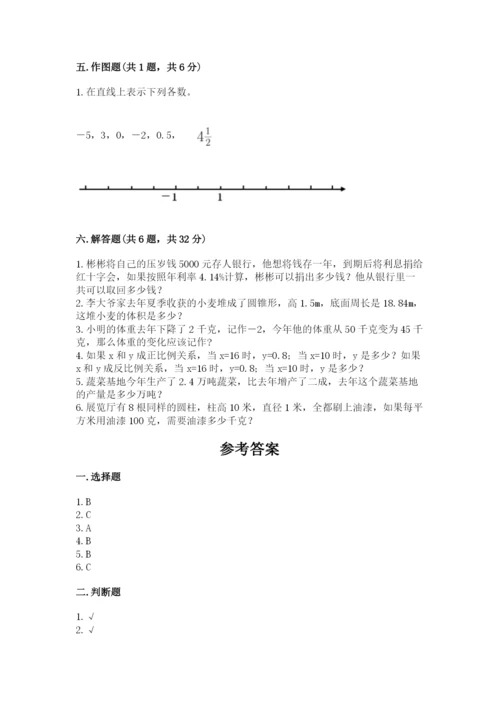 嵩明县六年级下册数学期末测试卷及1套完整答案.docx