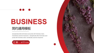BUSINESS红色系列通用PPT模板