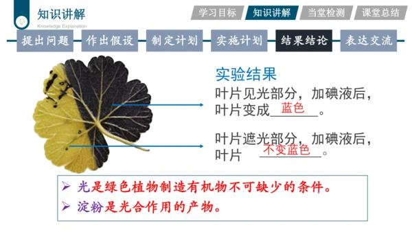 3.3.4  绿色植物是生物圈中有机物的制造者  课件-2023-2024学年人教版生物七年级上册(