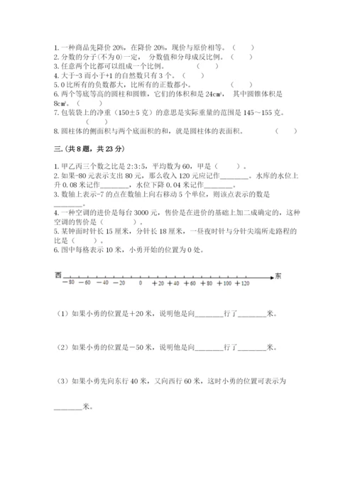 苏教版小升初数学模拟试卷（典优）.docx