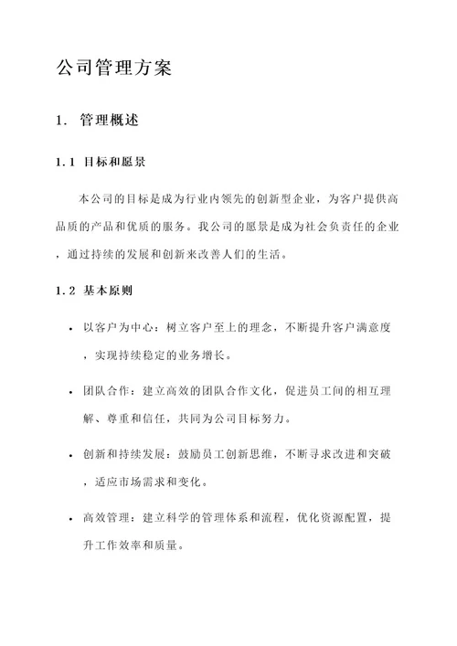 公司的管理方案