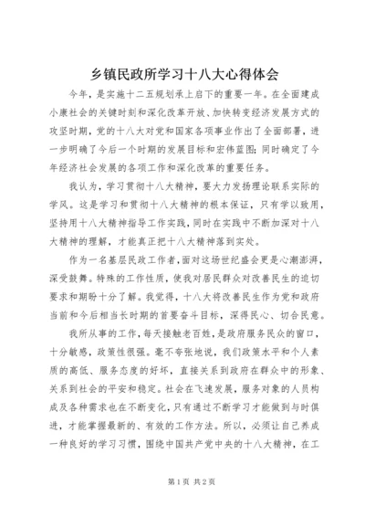 乡镇民政所学习十八大心得体会.docx