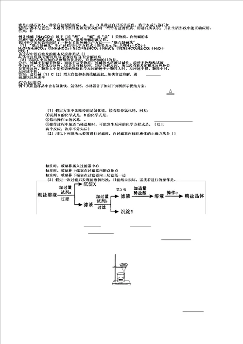 盐和化学肥料总结与练习要点