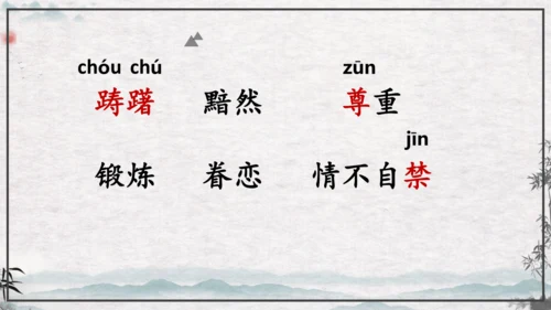 10《青山处处埋忠骨》课件