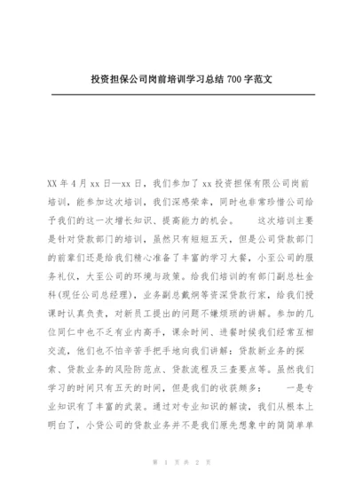 投资担保公司岗前培训学习总结700字范文.docx