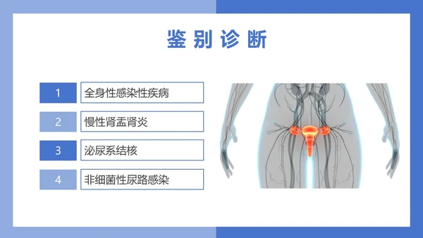 医疗风医疗泌尿系感染PPT模板