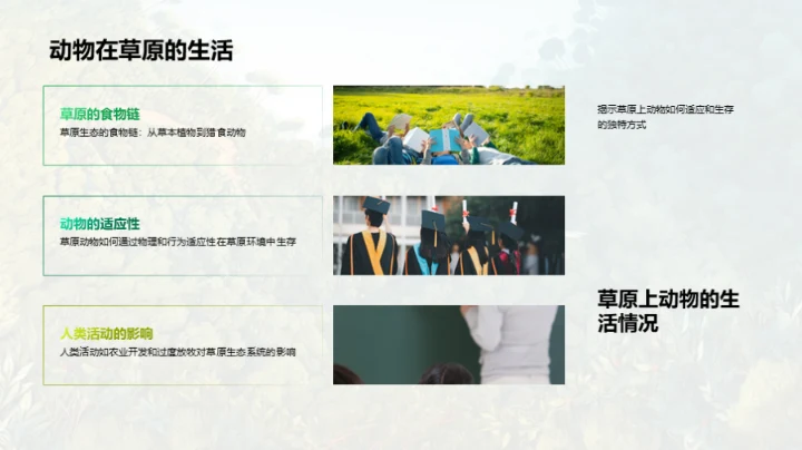 动物世界的奥秘