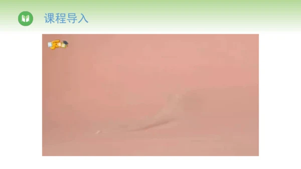 2024-2025学年人教版物理八年级上册3.3汽化和液化课件（24页ppt）