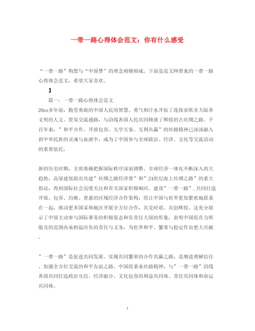 精编一带一路心得体会范文你有什么感受.docx