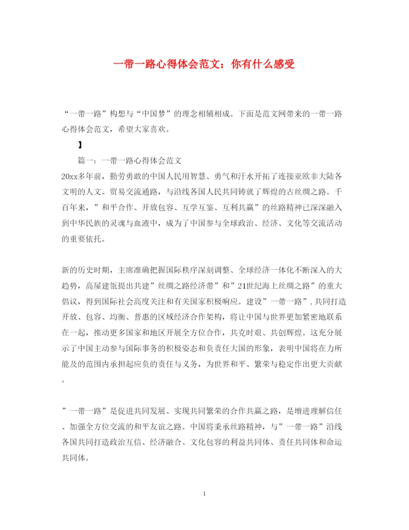 精编一带一路心得体会范文你有什么感受.docx