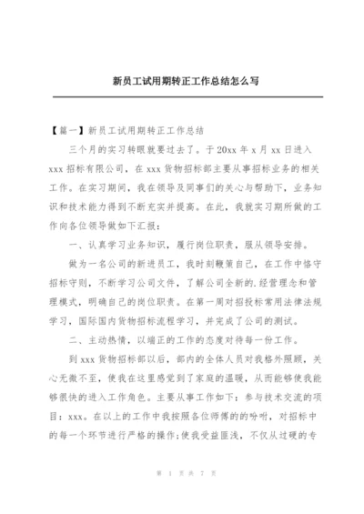 新员工试用期转正工作总结怎么写.docx