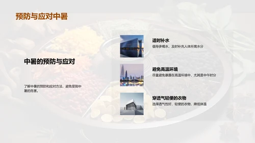 大暑节气与健康