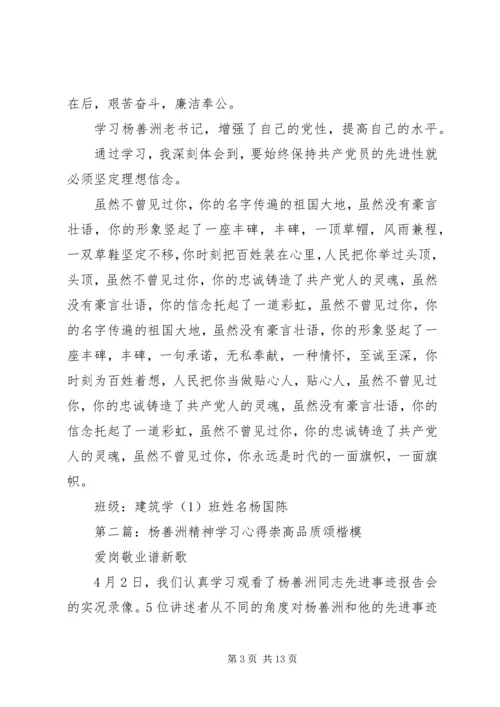 学习杨善洲精神的心得.docx