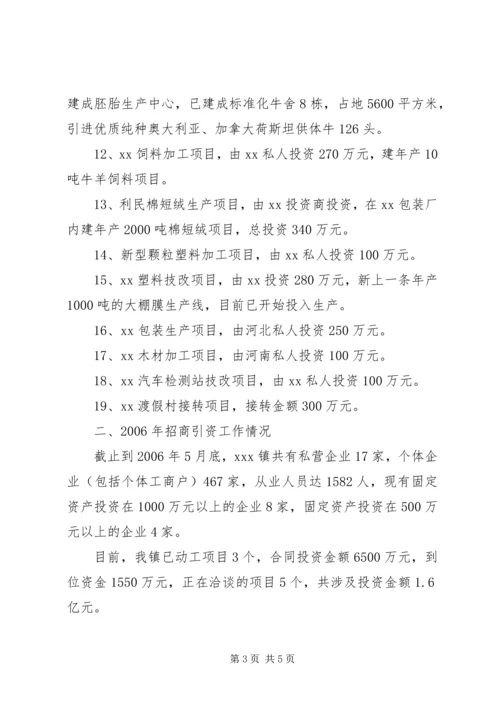 乡镇招商引资工作情况汇报.docx