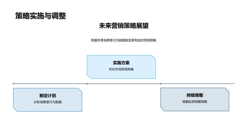 冬季消费者行为研究