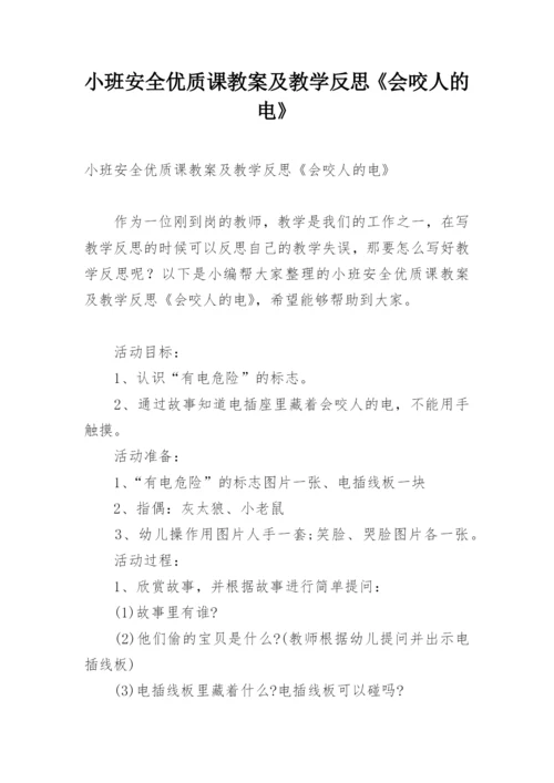 小班安全优质课教案及教学反思《会咬人的电》.docx