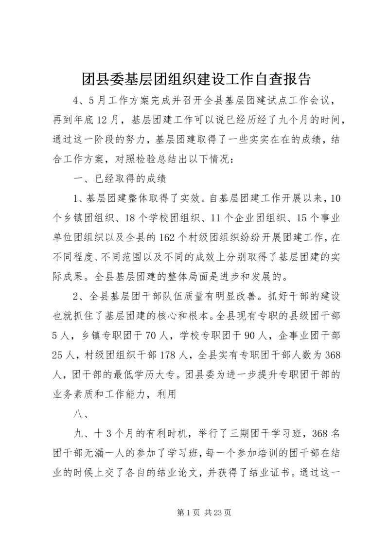 团县委基层团组织建设工作自查报告.docx