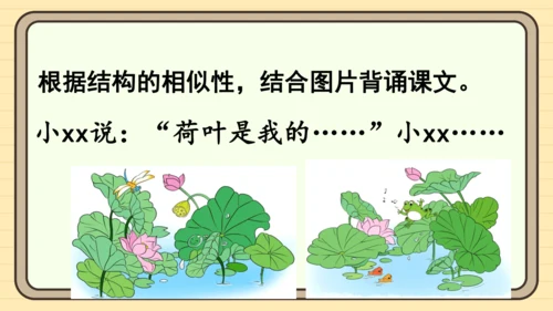 12 荷叶圆圆（课件）