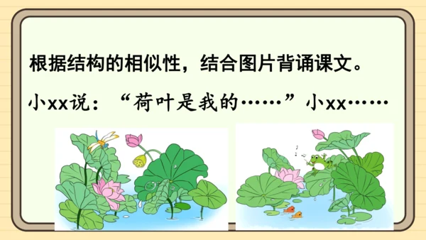 12 荷叶圆圆（课件）