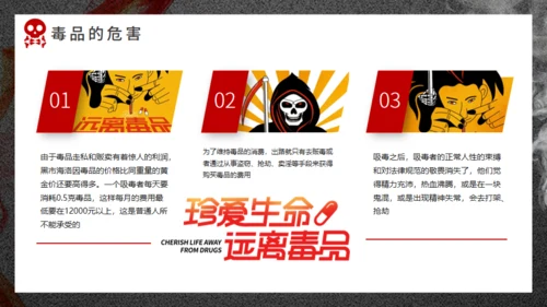 珍爱生命远离犯罪禁毒通用PPT课件