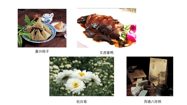 旅游景点嘉兴城市介绍PPT模板