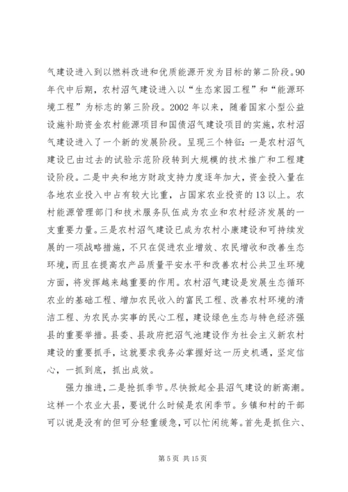 副县长在沼畜现场会发言材料_1.docx