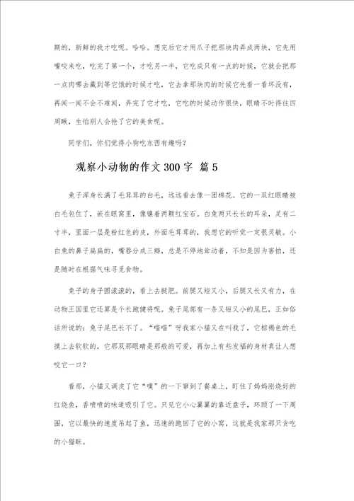 观察小动物的作文300字