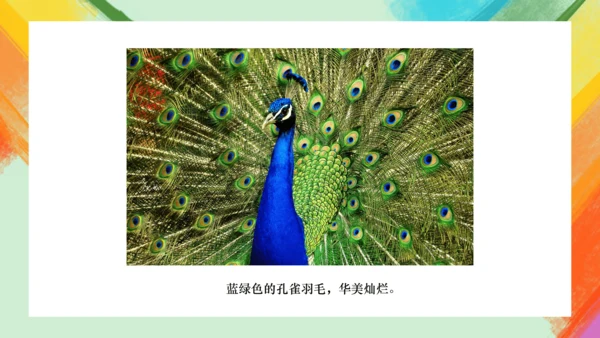 第6课《大自然的色彩》课件（共32页）