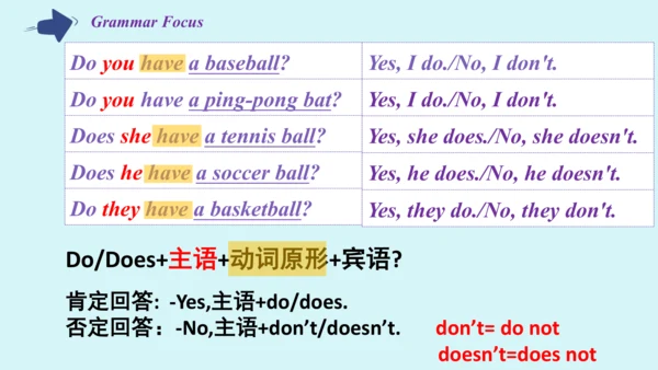 Unit 5 Grammar Focus课件 （人教新目标七年级上册Unit 5 Do you ha