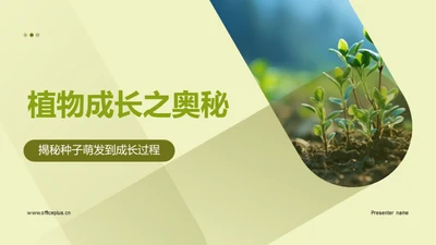 植物成长之奥秘