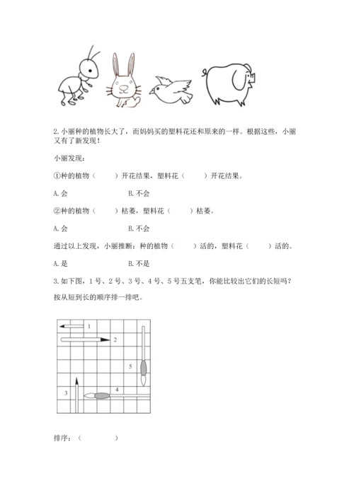 教科版一年级上册科学期末测试卷附答案（满分必刷）.docx