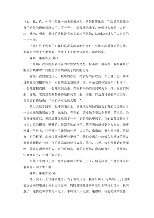 观察三年级作文锦集八篇.docx