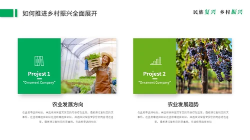 绿色简约商务乡村振兴建设新农村农业发展党课ppt模板
