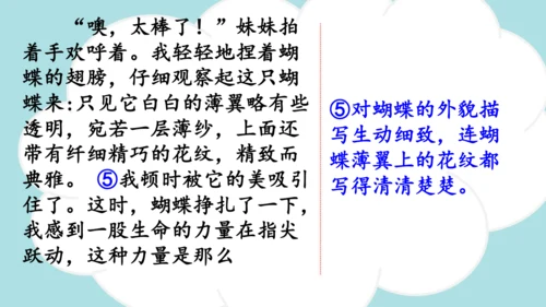 -统编版2024-2025学年四年级语文上册同步精品习作：生活万花筒 课件