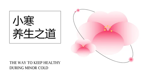 中国风粉色梅花主题小寒节气介绍PPT