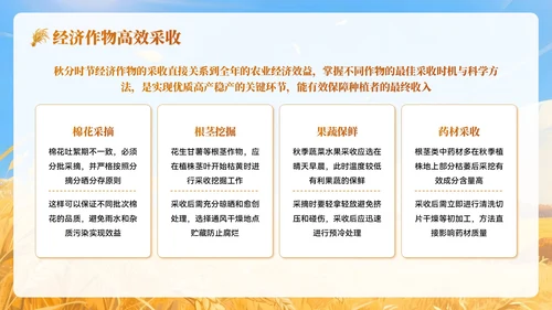 黄色插画风秋分农事农业培训PPT模板