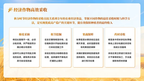 黄色插画风秋分农事农业培训PPT模板
