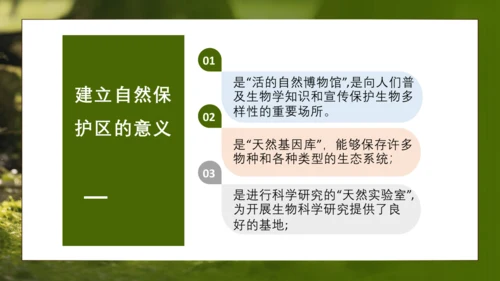 人教版生物八年级上册6.3《保护生物的多样性》课件(共27张PPT)